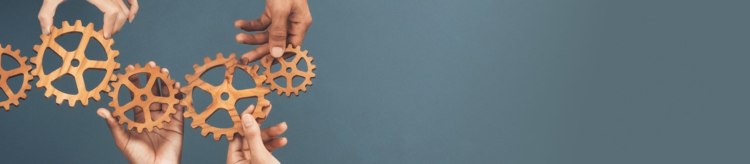 LÖSUNG N Leistungen Projektmanagement Motiv. Zahnrad